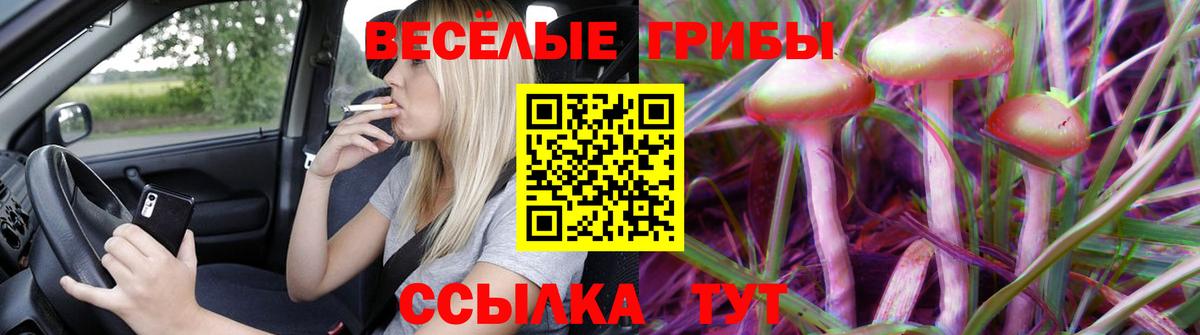 Галлюциногенные грибы Magic Shrooms  Вход с VPN  Ефремов 